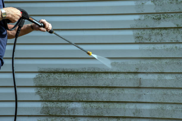 Best Deck Pressure Washing  in Carson City, MI