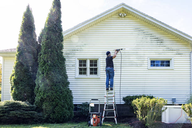 Best Affordable Pressure Washing  in Carson City, MI