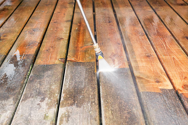 Best Sidewalk Pressure Washing  in Carson City, MI