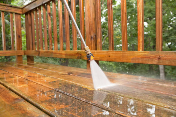 Best Residential Pressure Washing Services  in Carson City, MI