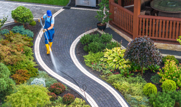 Roof Power Washing Services in Carson City, MI
