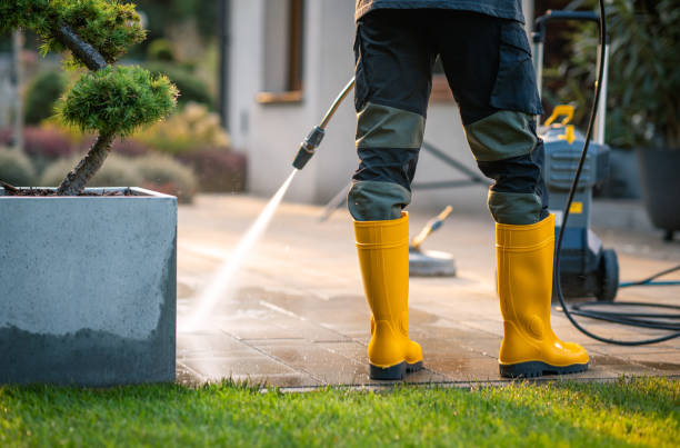 Best Fence Pressure Washing  in Carson City, MI